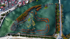 浙江余姚：网红池杉林 &ldquo;染&rdquo;出好生活